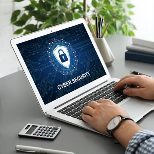 Cybersecurity & Risk Management 01